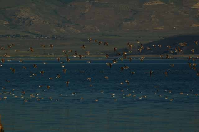 Mono Lake